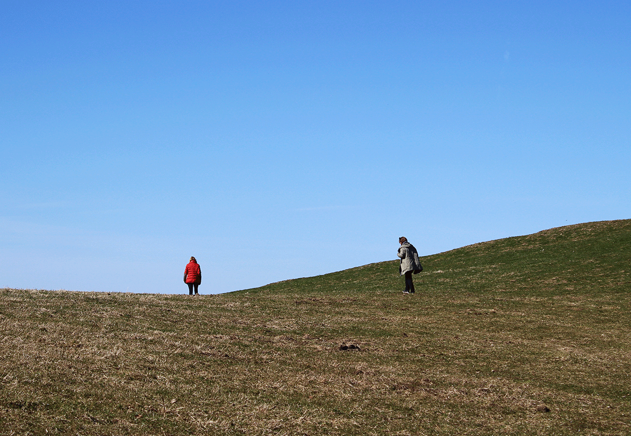 Research-Vorschaubild-kl