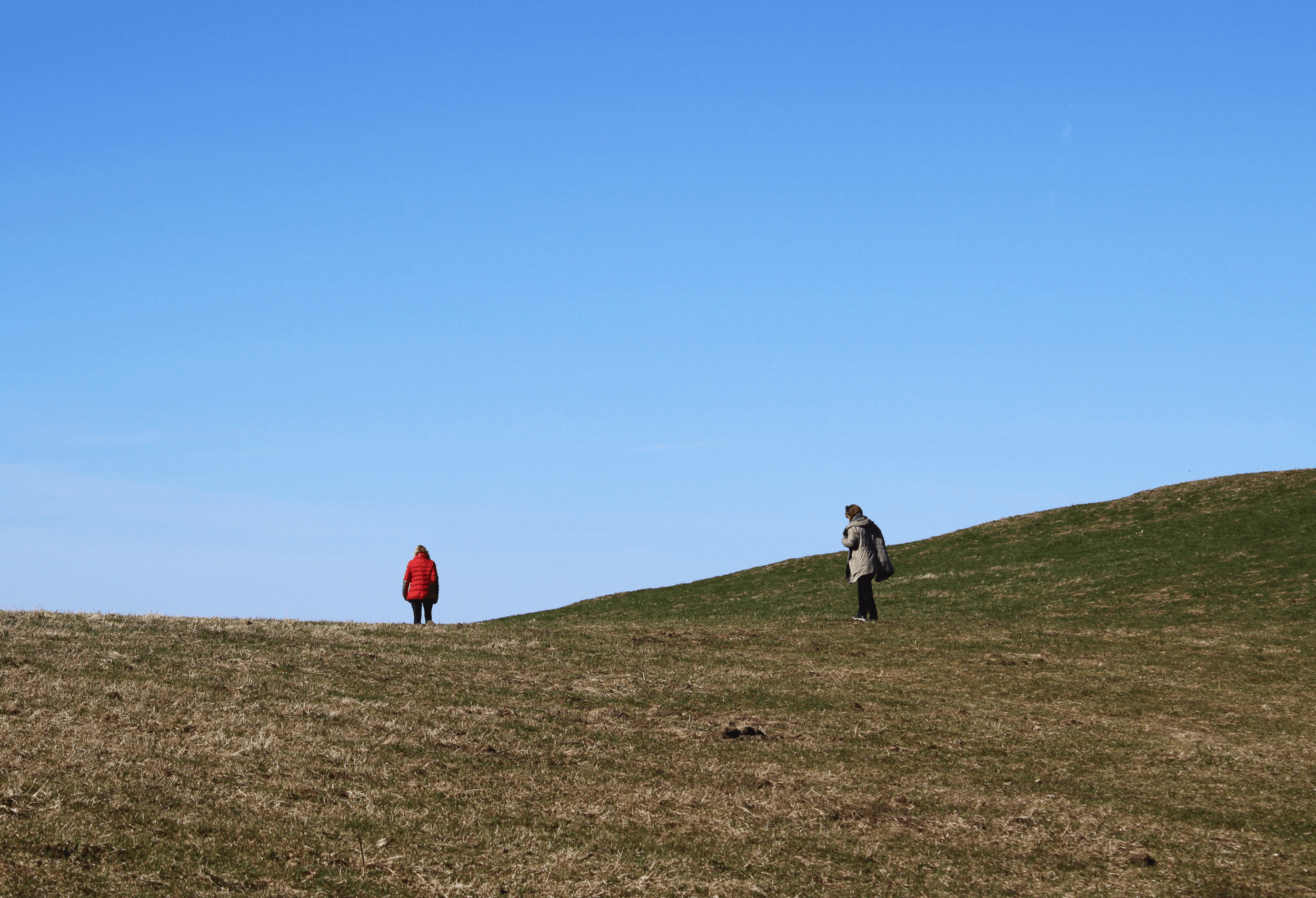 Research-Vorschaubild